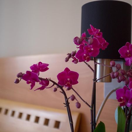 Hotel U Salzmannu Plzen Ngoại thất bức ảnh